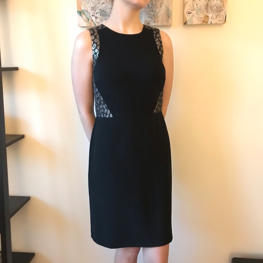 Gorgeous Ann Taylor Chetah Dress